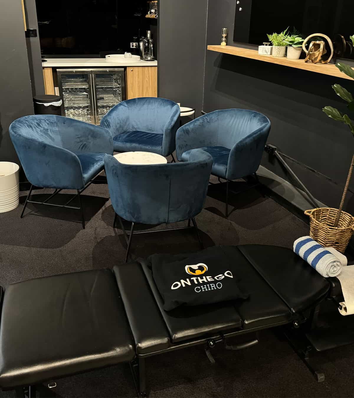 mobile chiropractor sydney on the go chiro
